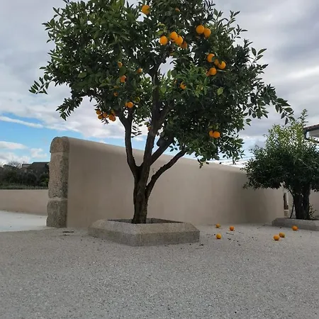 Palace De Midoes