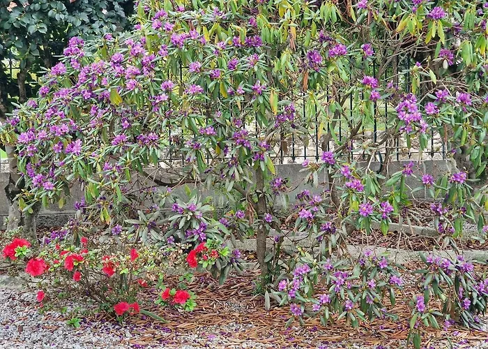 מלון Palace De 4*