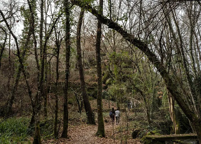 מלון Palace De 4*