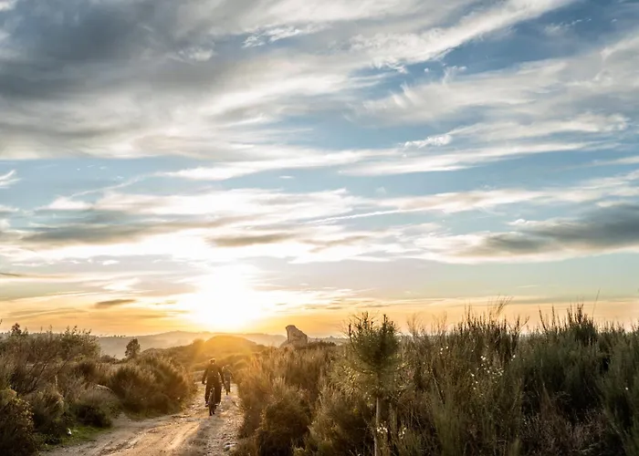 מלון Palace De Midoes